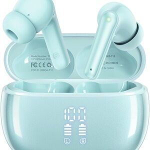 Mint Wireless Earbuds with Charging Case